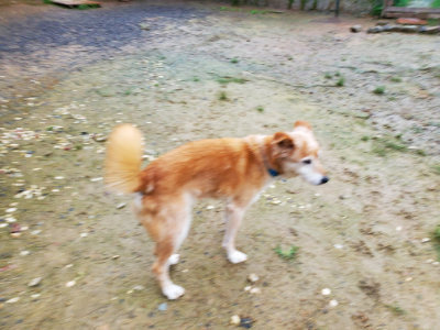 f:id:roukenhome-ann:20190829194811j:plain