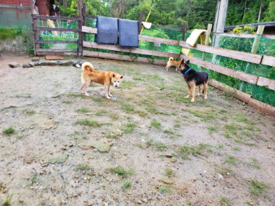 f:id:roukenhome-ann:20190829194820j:plain