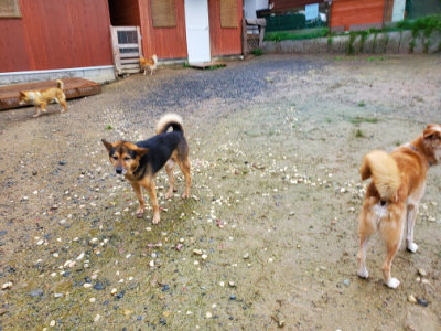 f:id:roukenhome-ann:20190829194845j:plain