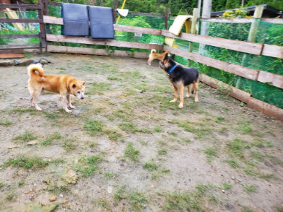 f:id:roukenhome-ann:20190829194852j:plain
