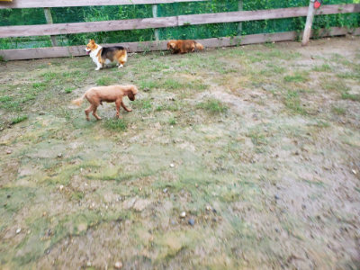 f:id:roukenhome-ann:20190829194935j:plain