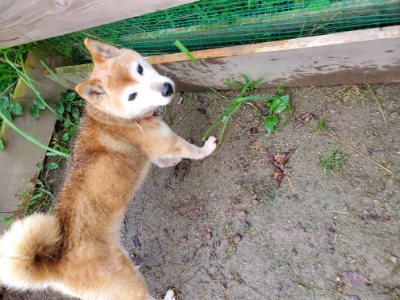 f:id:roukenhome-ann:20190829194941j:plain