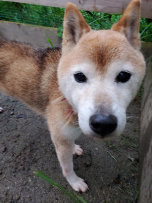 f:id:roukenhome-ann:20190829194946j:plain