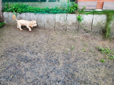 f:id:roukenhome-ann:20190829195022j:plain