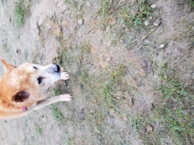 f:id:roukenhome-ann:20190829195041j:plain