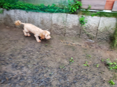 f:id:roukenhome-ann:20190829195049j:plain