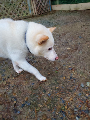 f:id:roukenhome-ann:20190829195107j:plain