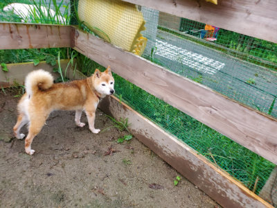 f:id:roukenhome-ann:20190829195124j:plain