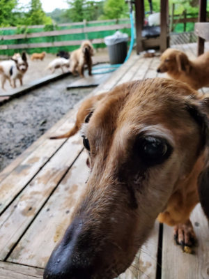 f:id:roukenhome-ann:20190829195136j:plain