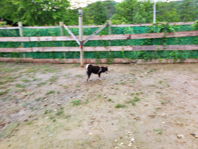 f:id:roukenhome-ann:20190829195759j:plain