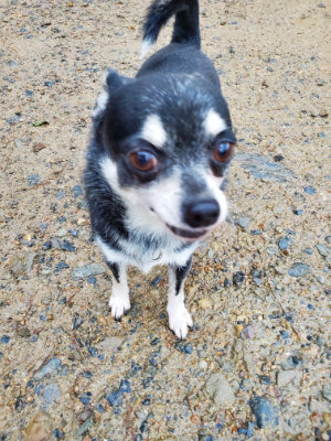 f:id:roukenhome-ann:20190829195833j:plain