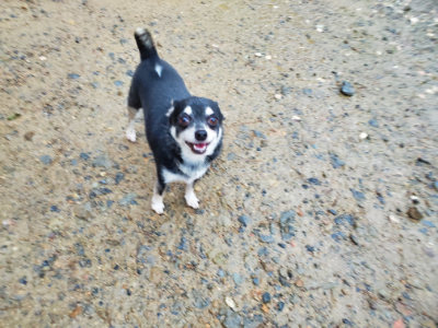 f:id:roukenhome-ann:20190829195936j:plain