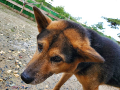 f:id:roukenhome-ann:20190829195950j:plain