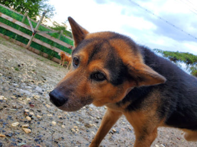 f:id:roukenhome-ann:20190829195956j:plain