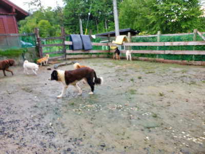 f:id:roukenhome-ann:20190829200003j:plain