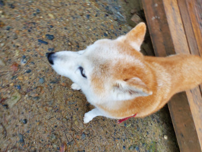 f:id:roukenhome-ann:20190829200009j:plain