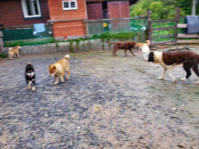 f:id:roukenhome-ann:20190829200018j:plain