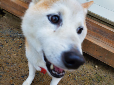 f:id:roukenhome-ann:20190829200038j:plain