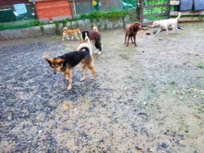 f:id:roukenhome-ann:20190829201547j:plain