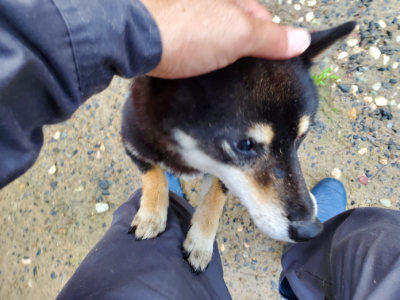 f:id:roukenhome-ann:20190829201553j:plain