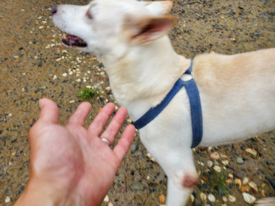 f:id:roukenhome-ann:20190829201654j:plain