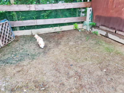 f:id:roukenhome-ann:20190829201721j:plain