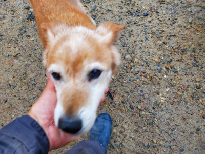 f:id:roukenhome-ann:20190829201741j:plain