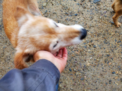 f:id:roukenhome-ann:20190829201749j:plain