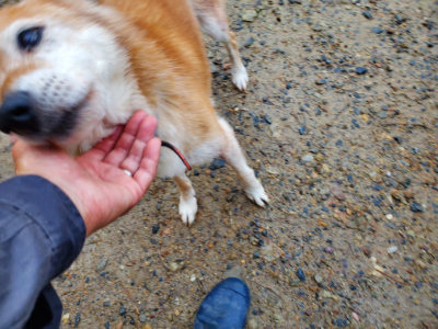f:id:roukenhome-ann:20190829201827j:plain