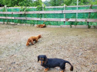 f:id:roukenhome-ann:20190829201855j:plain