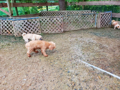f:id:roukenhome-ann:20190829201906j:plain