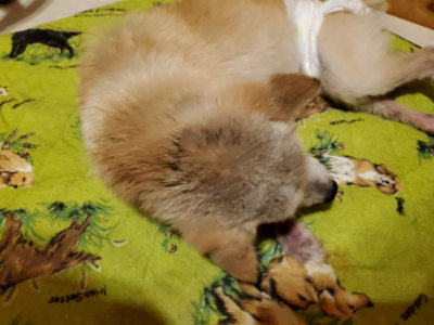 f:id:roukenhome-ann:20190829201940j:plain