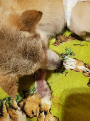 f:id:roukenhome-ann:20190829201955j:plain
