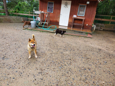 f:id:roukenhome-ann:20190829202001j:plain