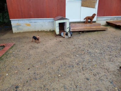 f:id:roukenhome-ann:20190829202016j:plain