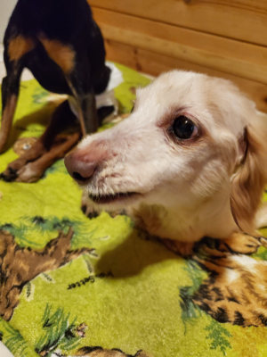 f:id:roukenhome-ann:20190829202022j:plain
