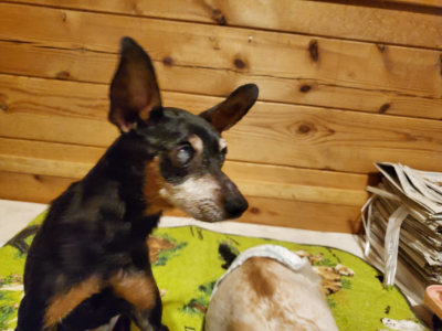 f:id:roukenhome-ann:20190829202034j:plain