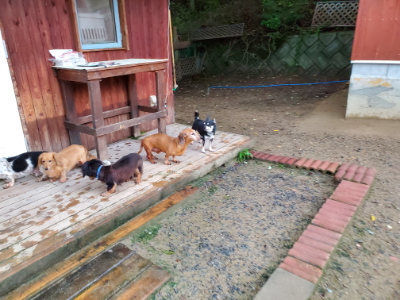 f:id:roukenhome-ann:20190829202056j:plain