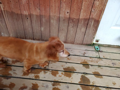 f:id:roukenhome-ann:20190829202125j:plain