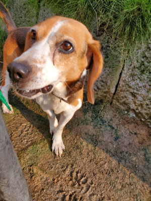 f:id:roukenhome-ann:20190829202205j:plain