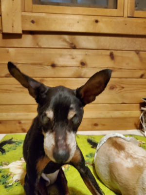 f:id:roukenhome-ann:20190829202210j:plain