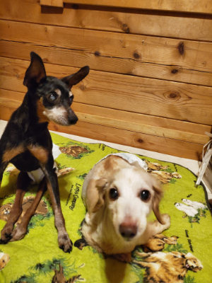 f:id:roukenhome-ann:20190829202238j:plain