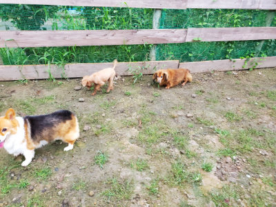 f:id:roukenhome-ann:20190829202304j:plain
