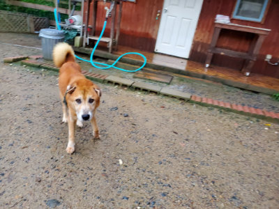 f:id:roukenhome-ann:20190829202338j:plain