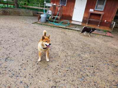f:id:roukenhome-ann:20190829202410j:plain