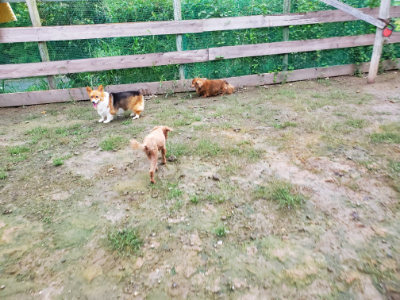 f:id:roukenhome-ann:20190829202424j:plain