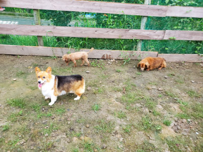 f:id:roukenhome-ann:20190829202436j:plain
