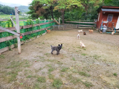 f:id:roukenhome-ann:20190829202447j:plain