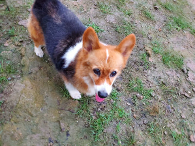 f:id:roukenhome-ann:20190829202528j:plain