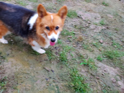 f:id:roukenhome-ann:20190829202536j:plain